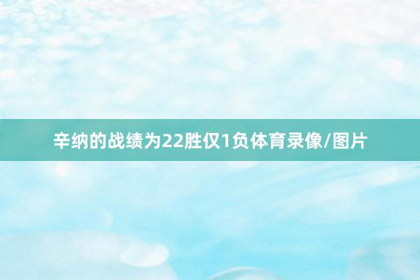 辛纳的战绩为22胜仅1负体育录像/图片