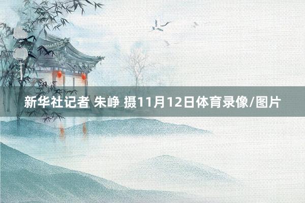 新华社记者 朱峥 摄11月12日体育录像/图片