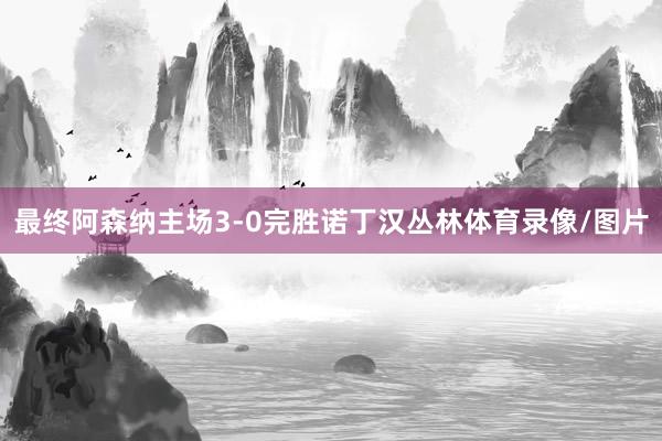 最终阿森纳主场3-0完胜诺丁汉丛林体育录像/图片