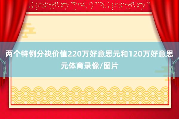 两个特例分袂价值220万好意思元和120万好意思元体育录像/图片