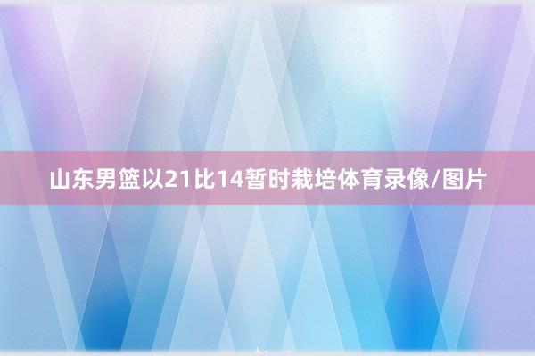 山东男篮以21比14暂时栽培体育录像/图片