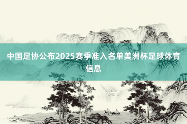 中国足协公布2025赛季准入名单美洲杯足球体育信息