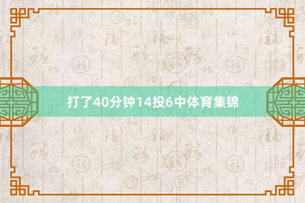 打了40分钟14投6中体育集锦