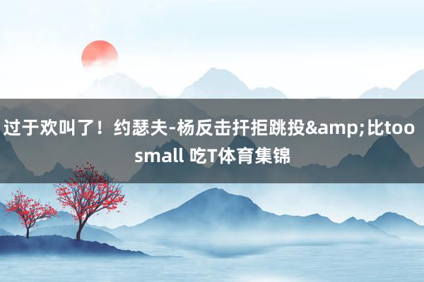 过于欢叫了！约瑟夫-杨反击扞拒跳投&比too small 吃T体育集锦